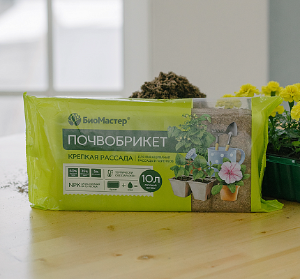 Крепкая рассада