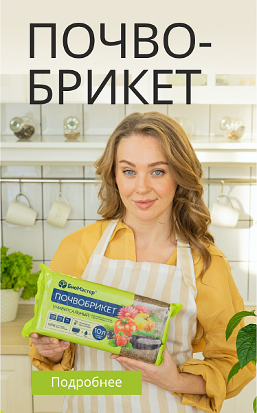 Универсальный 23